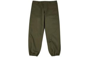 Dickies Мужские повседневные брюки, цвет Army Green