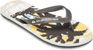 Мужские вьетнамки Quiksilver
