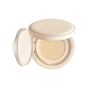 Невидимые воздушные подушечки без эффекта маски, не размазываются, стойкий камуфляж 14г + карточка с образцами цвета + пуховка PASSIONAL LOVER P