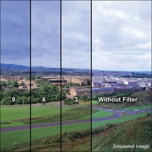 Фильтр LEE Filters 4x6" Combination Graduated 81EF to ND 0.6 81EFTN6H