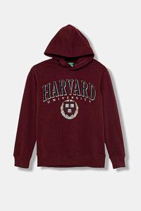 Детская толстовка United Colors Of Benetton, бордовый