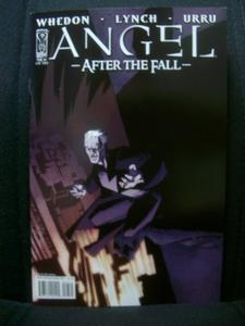 Angel After The Fall #7 / Cover "B" by Mike Oeming (IDW)
