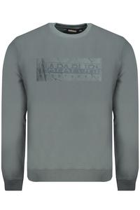 Толстовка Napapijri с принтом логотипа, зеленый