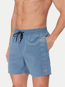 Пляжные шорты regular fit All Day Heritage Lb EBYJV00122 Billabong, синий