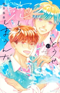 Anyway, I'm Going to Fall in Love. (13) (KC Deluxe)