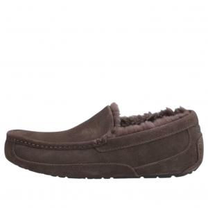 Тапочки UGG Ascot 'Dusted Cocoa'