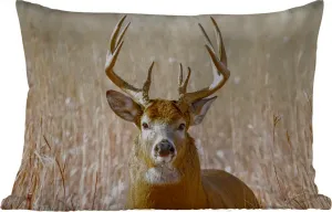 Подушка для улицы - Олень - Трава - Осень - Животные - Природа - Рога - 50 x 30 см - Устойчива к погодным условиям - Подушка для отдыха - Подушка для дивана - Украшение для гостиной MuchoWow