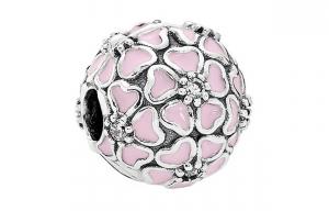 Jewelry Accessories Women's Pandora