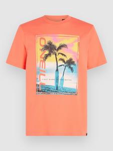 Футболка O'Neill Jack Neon T-Shirt, living coral