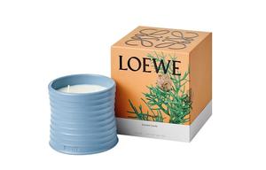 Ароматическая свеча LOEWE