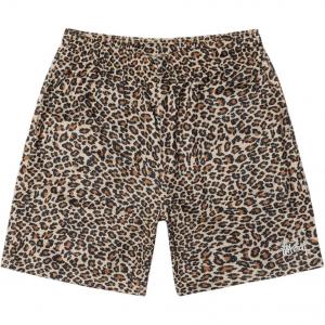 Базовые шорты Mesh Stussy, леопард