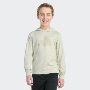 Худи Adidas Long Sleeve All Sport Polyester Pullover Hoodie, цвет Alumina