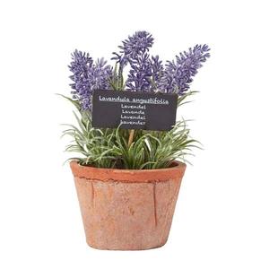 Декоративное растение Homescapes Lavendel-Topfpflanze цвет terracotta