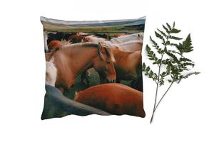 Декоративная подушка MuchoWow Диванная подушка Декоративная подушка для гостиной 60 x 60 см Лошади - Животные - Игра - Чехлы на подушки - Хлопчатобумажная ткань - Декоративные наволочки