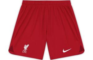 Мужские футбольные шорты Nike, цвет Dark Red