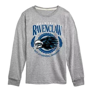 Мальчики 8-20 футболка с длинным рукавом и принтом Когтеврана Harry Potter, серый