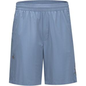 Спортивные шорты мужские SPYDER, Дымчато-серый