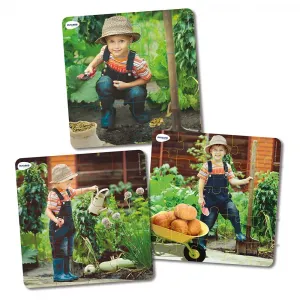 Миниленд: Жизнь растения и головоломка Miniland, мультиколор