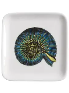 Пепельница conchiglia fossile, 12х12 см, Fornasetti, белый