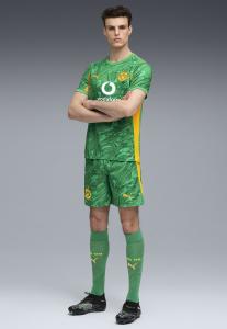 Спортивные шорты Puma BORUSSIA DORTMUND, Archive Green-Intense Orange/Green