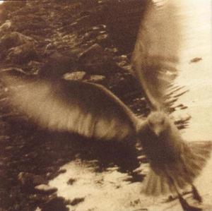 Диск CD Take Me Home: A Tribute to John Denver - Various Artists