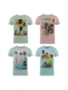 Набор из 4 разноцветных футболок RIVLukas