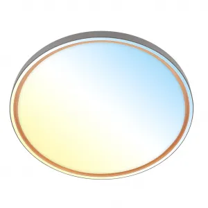 Светильник потолочный LED INA 3956015 Briloner Leuchten, антрацит