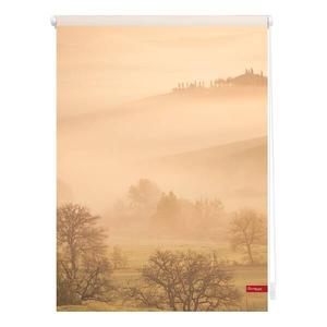 Рулонные шторы Lichtblick Toskana, 100x150x6 см цвет orange/braun