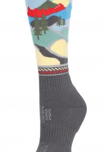 Носки Spyder, мультиколор