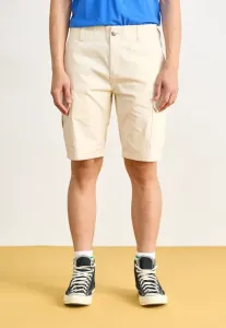 Шорты миллервилля Dickies, Whitecap Gray