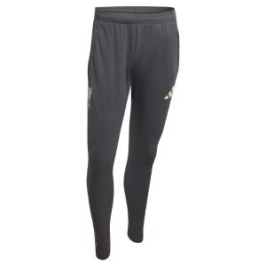 Adidas Performance Узкие спортивные брюки 'Liverpool FC Tiro 25 Competition' в цвете Anthracite