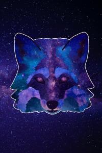 Galaxy Fox Journal (Independently published)
