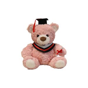 Плюшевая кукла AIQINGCAOZHILIANWANJU Doctor Hat Teddy Bear 25 см AIQINGCAOZHILIAN(WANJU)