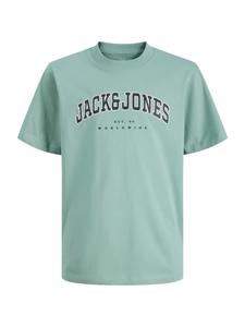 Jack & Jones Plus Футболка 'JJECALEB' в светло-зеленом цвете