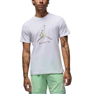 Спортивная мужская футболка Dri FIT Jordan, белый/черный