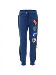 Спортивные штаны Harry Potter, цвет dunkelblau, grau