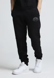 Брюки боттичини Zavetti Canada, Black