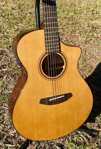 2025 Breedlove Performer Pro Concert CE европейская ель/индийский палисандр - стареющий тонер