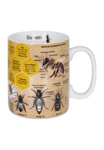 Кофейная кружка Кружка пчелиных знаний, информативная, фарфор KöNitz, mehrfarbig