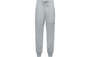 Трикотажные спортивные штаны мужские Evisu, темно-серый