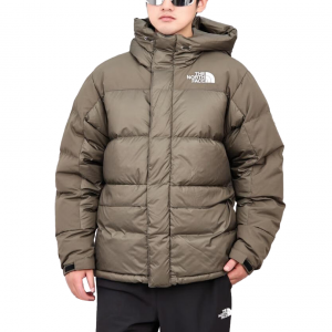 Мужская пуховая куртка и пальто ICON The North Face, коричневый