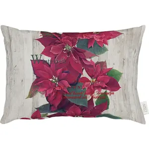 Декоративная подушка 2600 с чехлом и наполнителем, 1 штука Apelt, Rot/grün + bedruckt