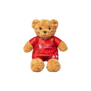 Мягкая игрушка медвежонок в футболке Чемпионат Лиги Премьер-Лиги, высота 34 см BALITU