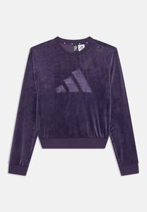 Толстовка Adidas Performance JUNIOR UNISEX, Aurora Plum/Dark Blue