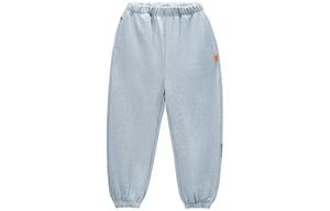 Повседневные брюки мужские GOLDLION G+, серые