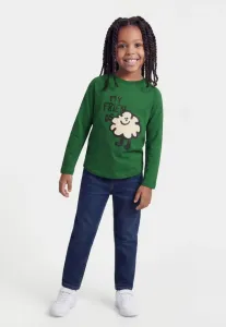 Футболка унисекс с длинными рукавами «anteater» The Animals Observatory, Dark Green