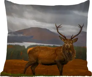 Подушка для улицы - Олень - Горы - Вода - Пейзаж - Животные - Деревья - 45x45 см - Водонепроницаемая - Подушка для отдыха - Фотоподушка - Декоративная подушка MuchoWow