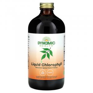 Dynamic Health, жидкий хлорофилл, со вкусом натуральной мяты, 473 мл (16 жидк. унций)