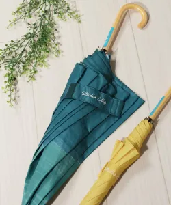 Двухцветный акварельный длинный зонт