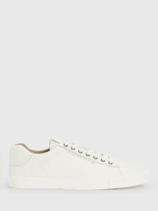 Кожаные низкие кеды AllSaints Brody, белые